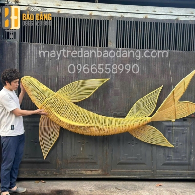 Cá Chép Đuôi Khung