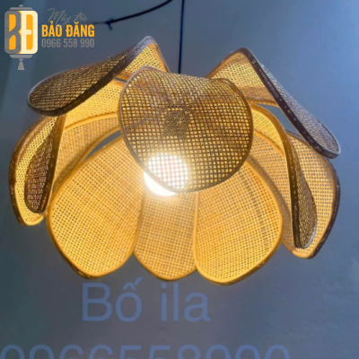 ĐÈN HOA SEN MÂY TRE