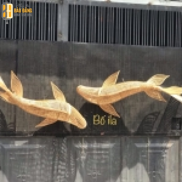 Cá Chép Đuôi Khung