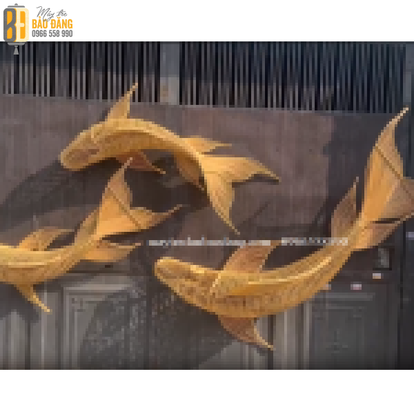 Cá Chép Đuôi Khung