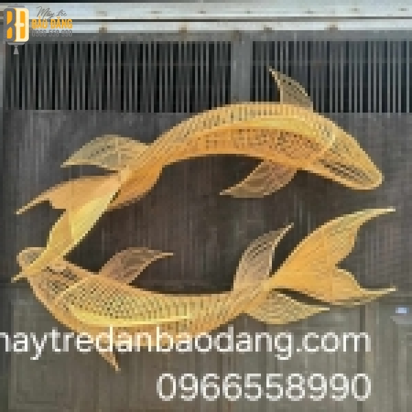 Cá Chép Đuôi Khung