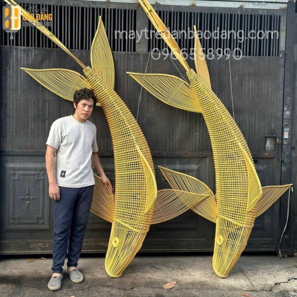 Cá Chép Đuôi Khung